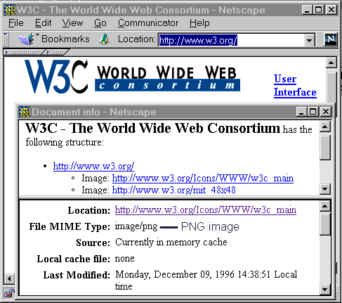 PNG version of W3C logo displayed by Netscape 4
