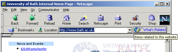 Figure 1: Netscape's What's Related Service