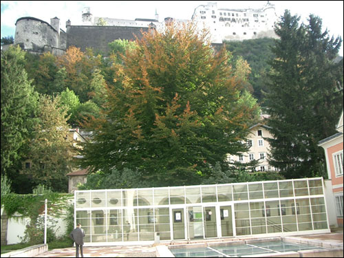 photo (69KB) : Symposium location, University of Salzburg. © Salzburg Research 2004.