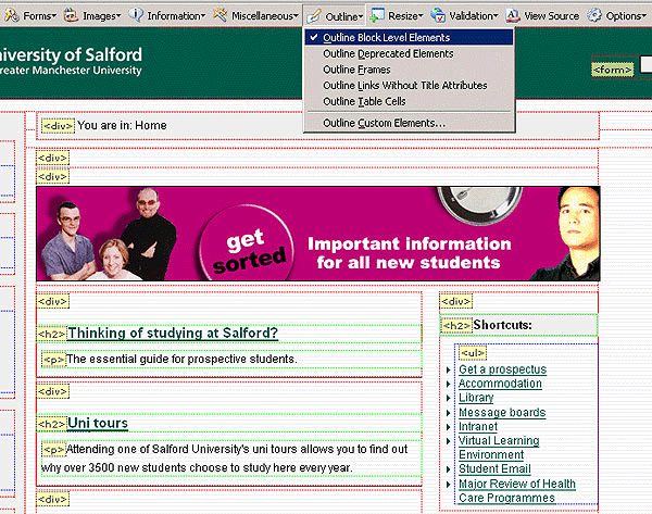 screenshot (122KB) : Figure 10: Web Developer Toolbar - Outline block level elements