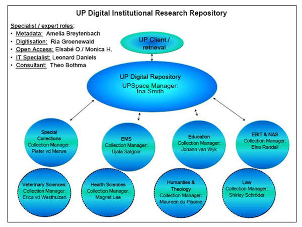 diagram (63KB) : Figure 5 : UP digital research repository management team