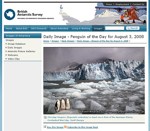 screenshot (73KB) : Figure 4 : Penguin of the Day on http://www.antarctic.ac.uk/
