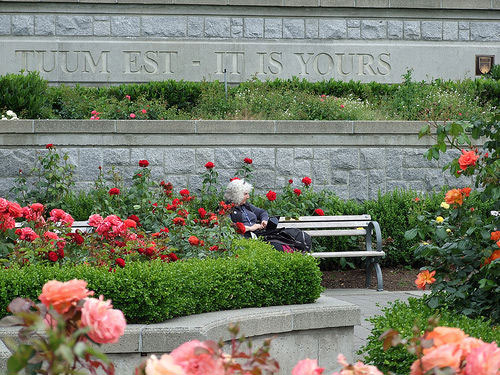 photo (91KB) : A delegate taking a moment to reflect on the Conference in the rose garden 