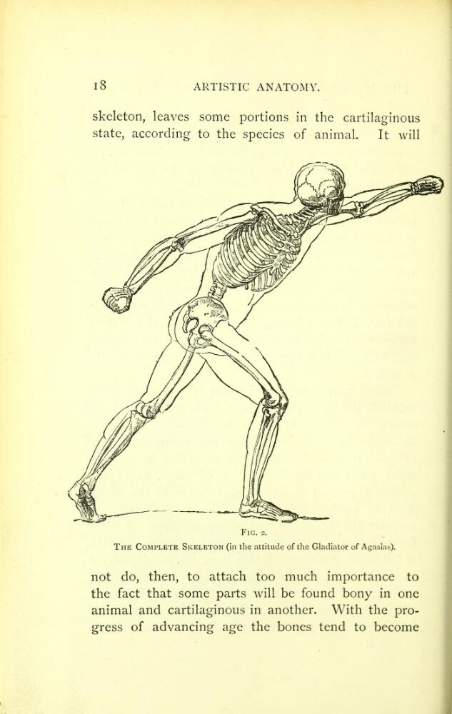 Figure 1: Artistic Anatomy by Mathias Duval, 1884, page 18